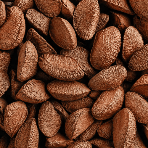 Brazil Nut Oil